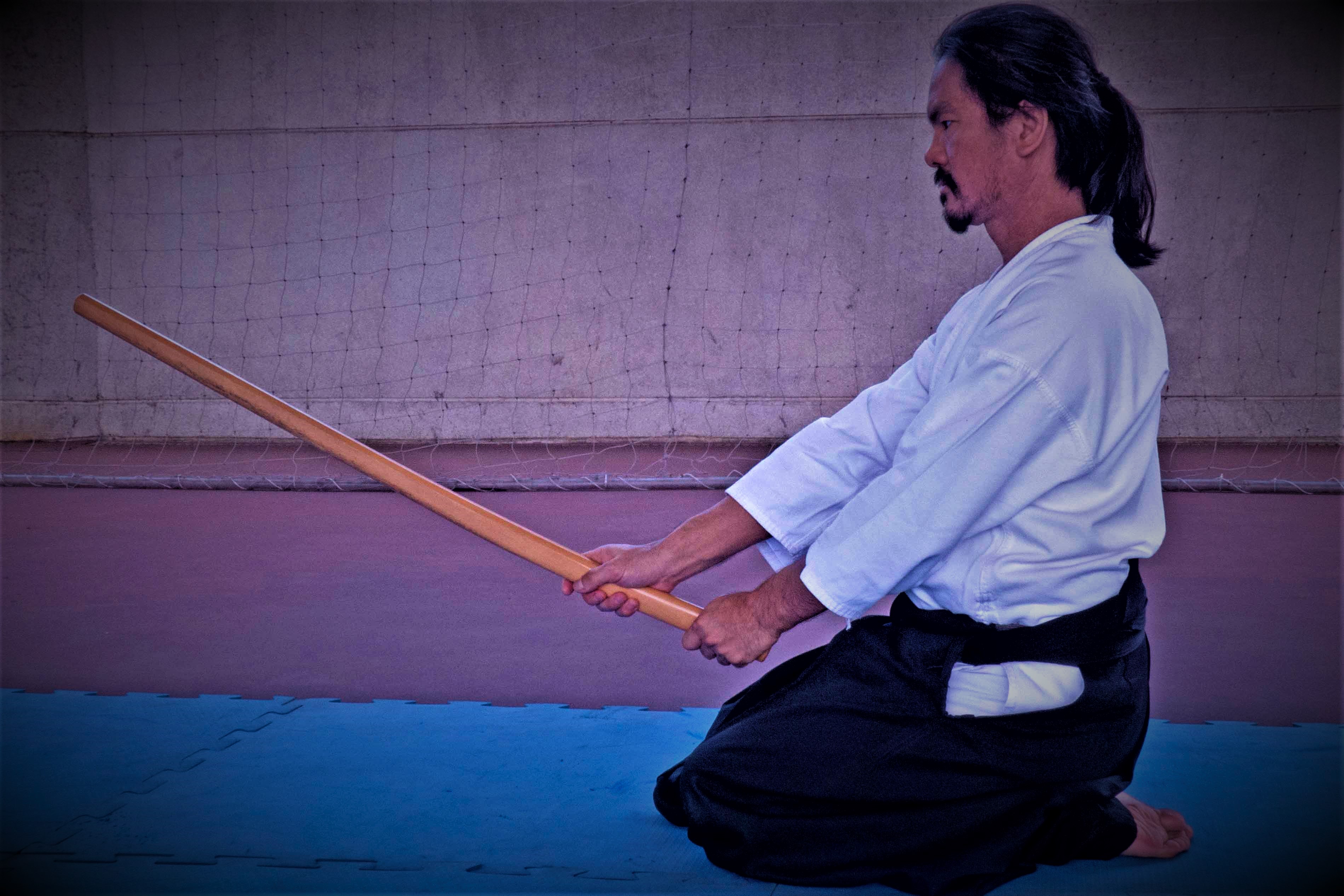 Aikido - a harmonia dos movimentos visando passividade